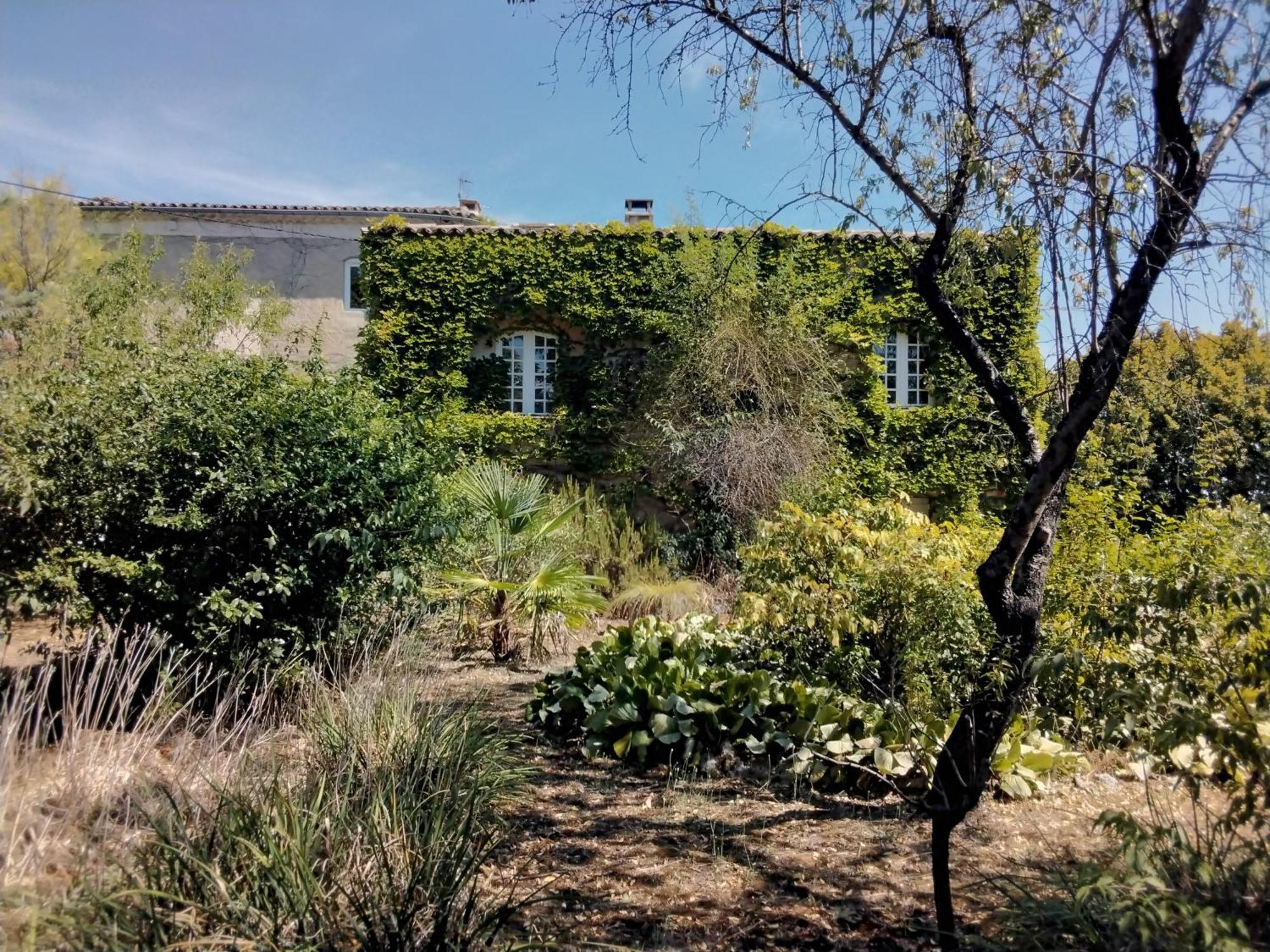 Le Domaine Du Soulier -Gite Et Chambres D'Hotes - La Maison Du Gardien Tornac المظهر الخارجي الصورة